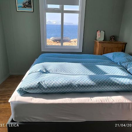 Bakkafjorthur Happy-Cove Guesthouse - By The Sea מראה חיצוני תמונה