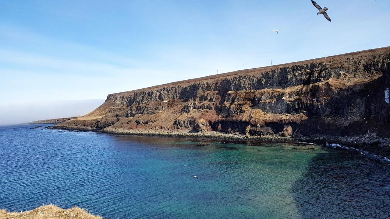 Bakkafjorthur Happy-Cove Guesthouse - By The Sea מראה חיצוני תמונה