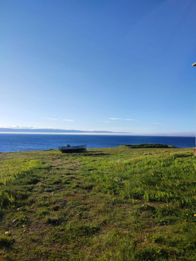Bakkafjorthur Happy-Cove Guesthouse - By The Sea מראה חיצוני תמונה
